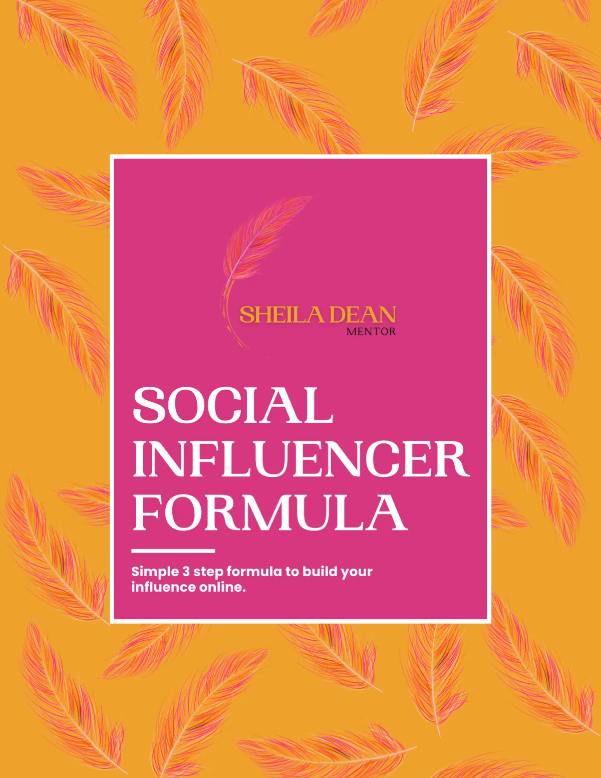 The Social Influencer Formula