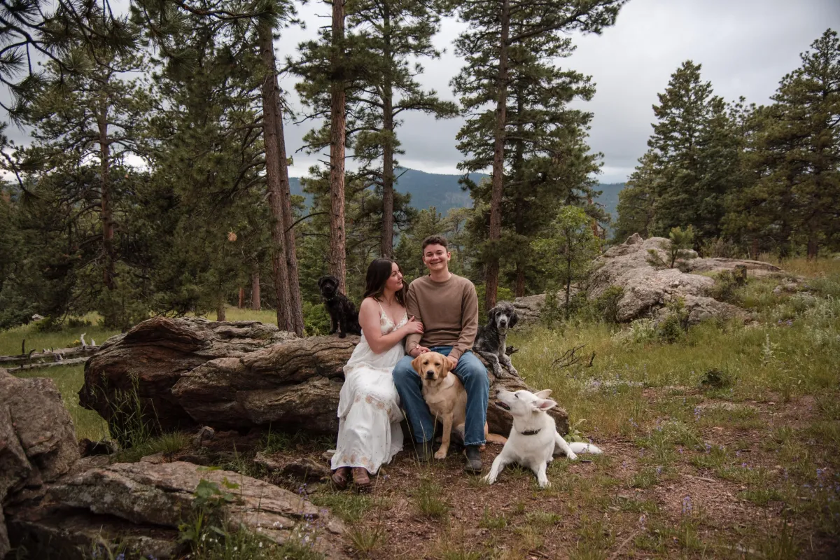 Professional Dog Training