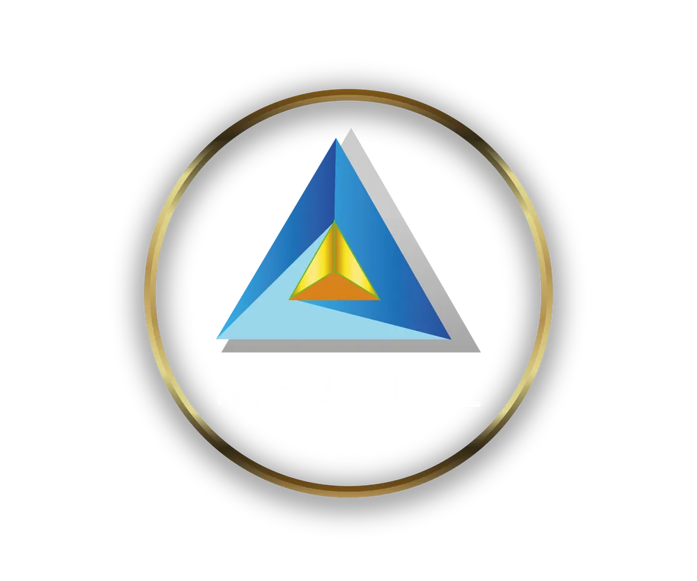 Official logo of MS Digital featuring a sleek triangular design in blue, yellow, and gray tones, encased in a gold circular frame. Represents innovation, professionalism, and a commitment to excellence in digital marketing solutions.