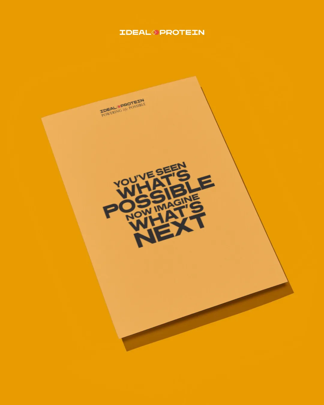 Ideal Protein yellow phase folder with the words You've Seen What's Possible Now See What's Next displayed on the cover