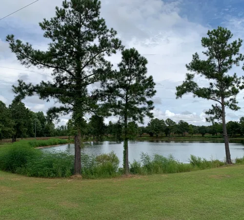 curbside pickup in calgary