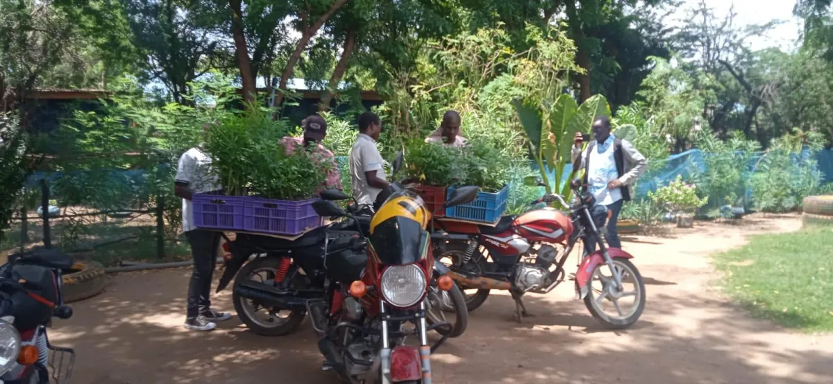 A group of people sitting around a fire