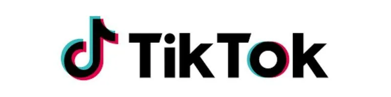 Tiktok logo for lead monsta integration.