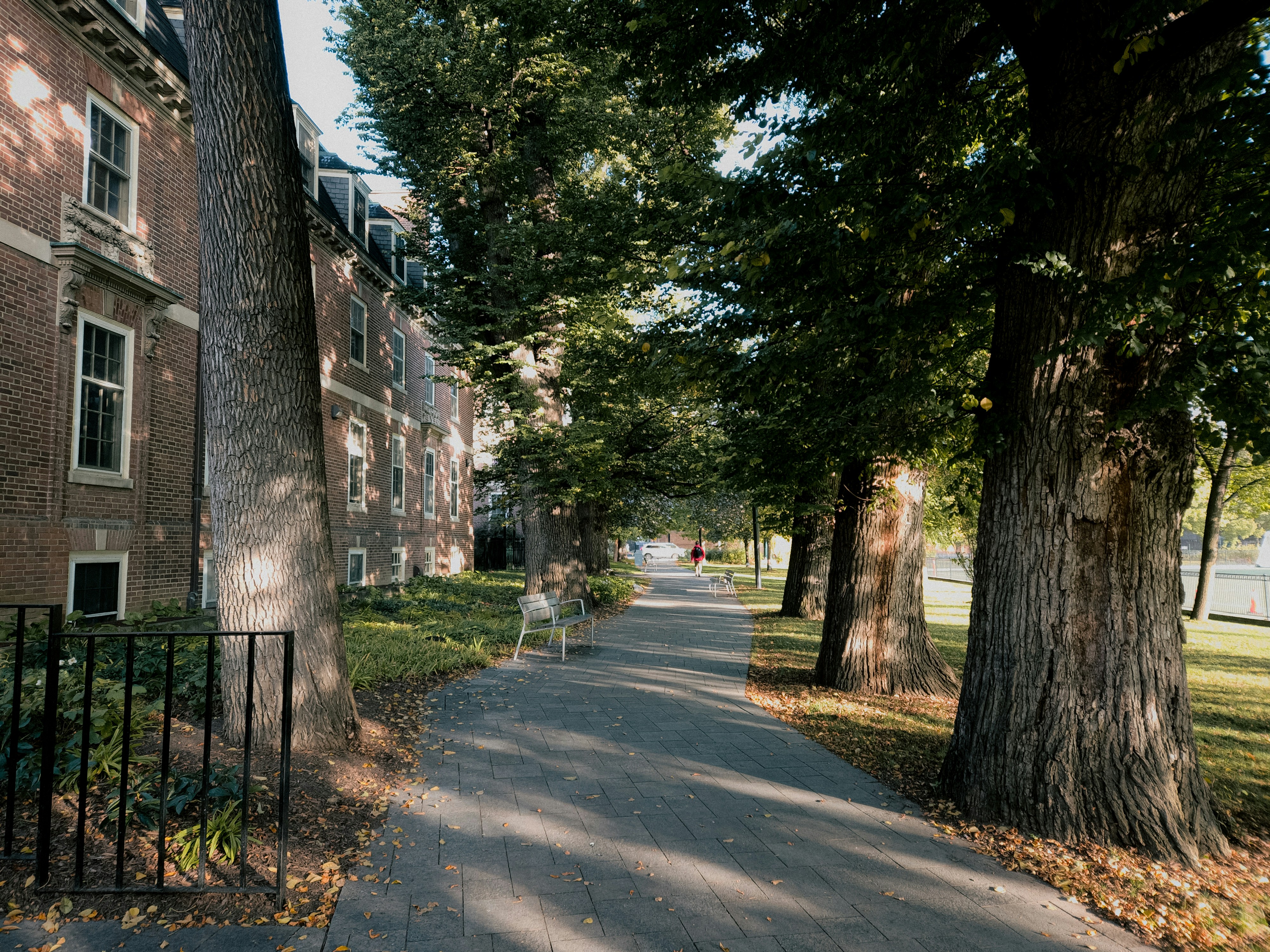 Tree-lined walkway beside historic brick building in Rosedale, Toronto neighbourhood