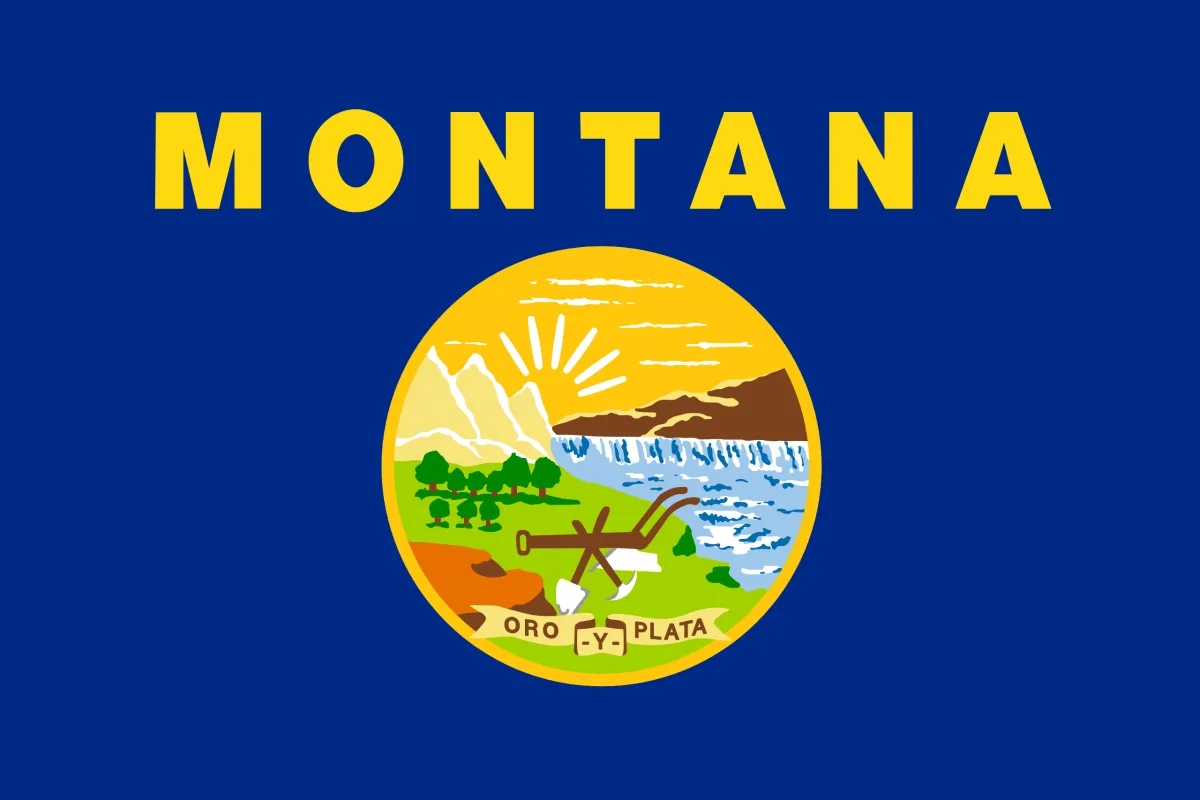 Roofing Contractor in Montana