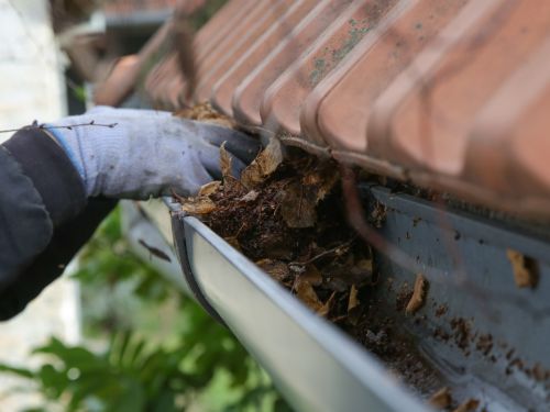 Gutter Cleaning & Whitening in Raleigh