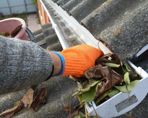 Youngsville Gutter Cleaning & Whitening