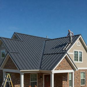 Roof Cleaning Raleigh