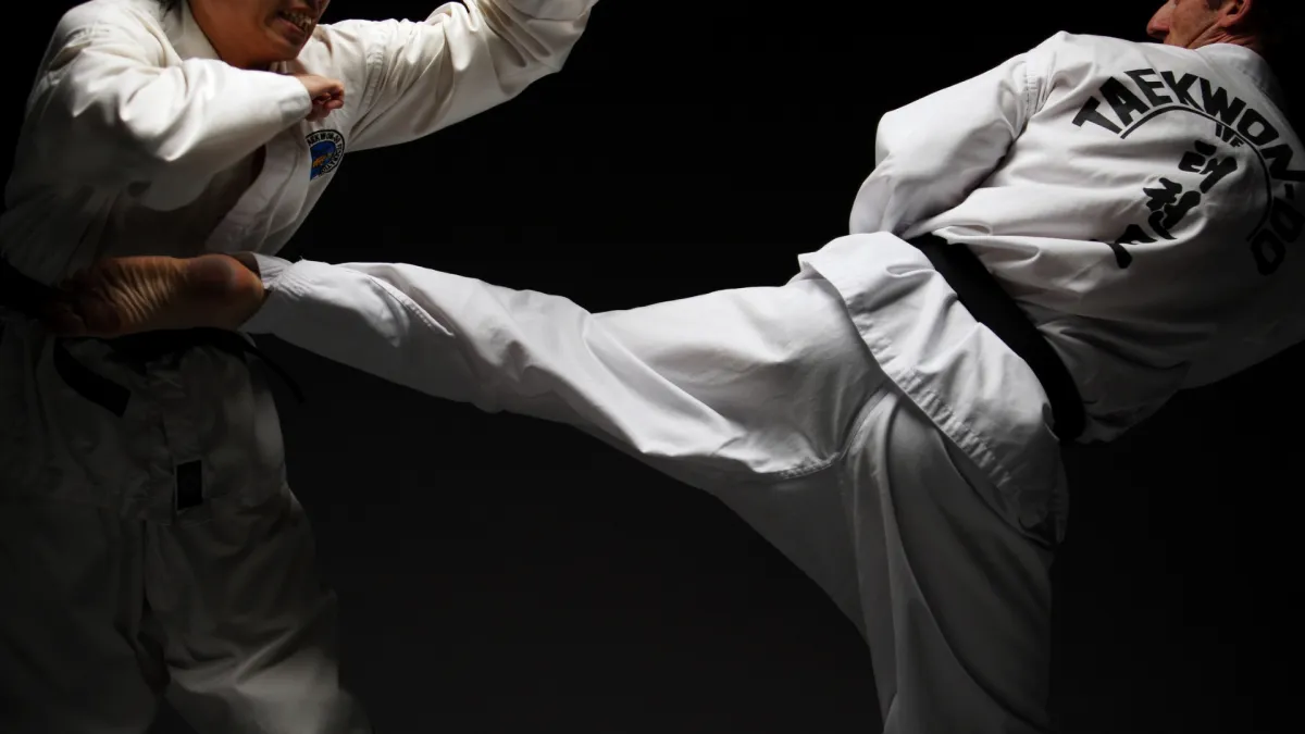 Teen and adult martial arts in portland,OR