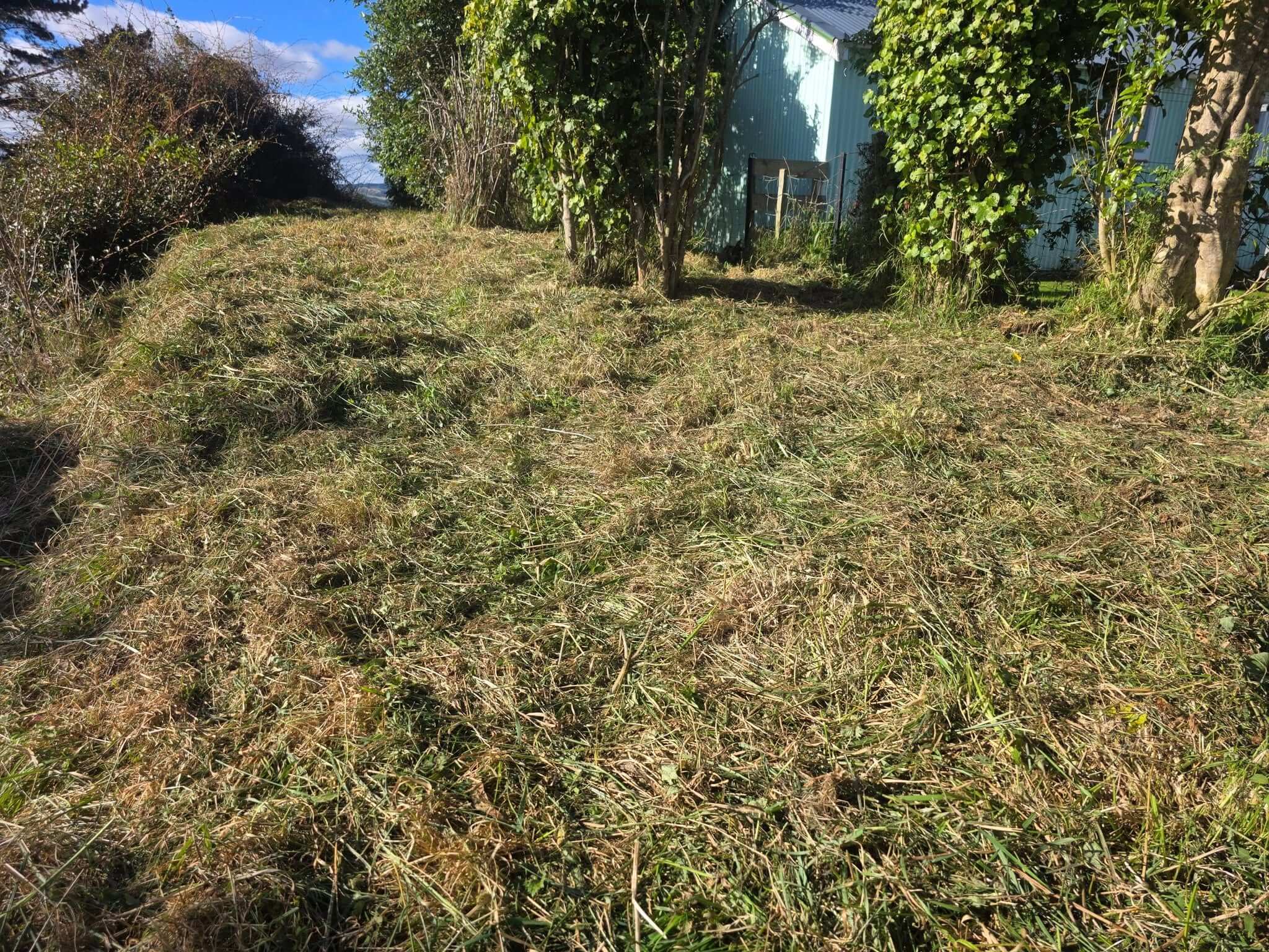 Lawn mowing and garden maintenance completed in Whanganui