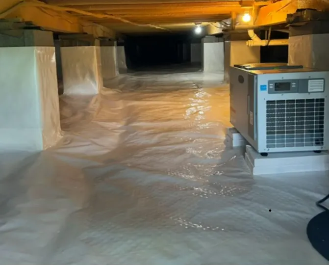 Crawl Space Moisture Sealing Systems offered by the Pest Detective