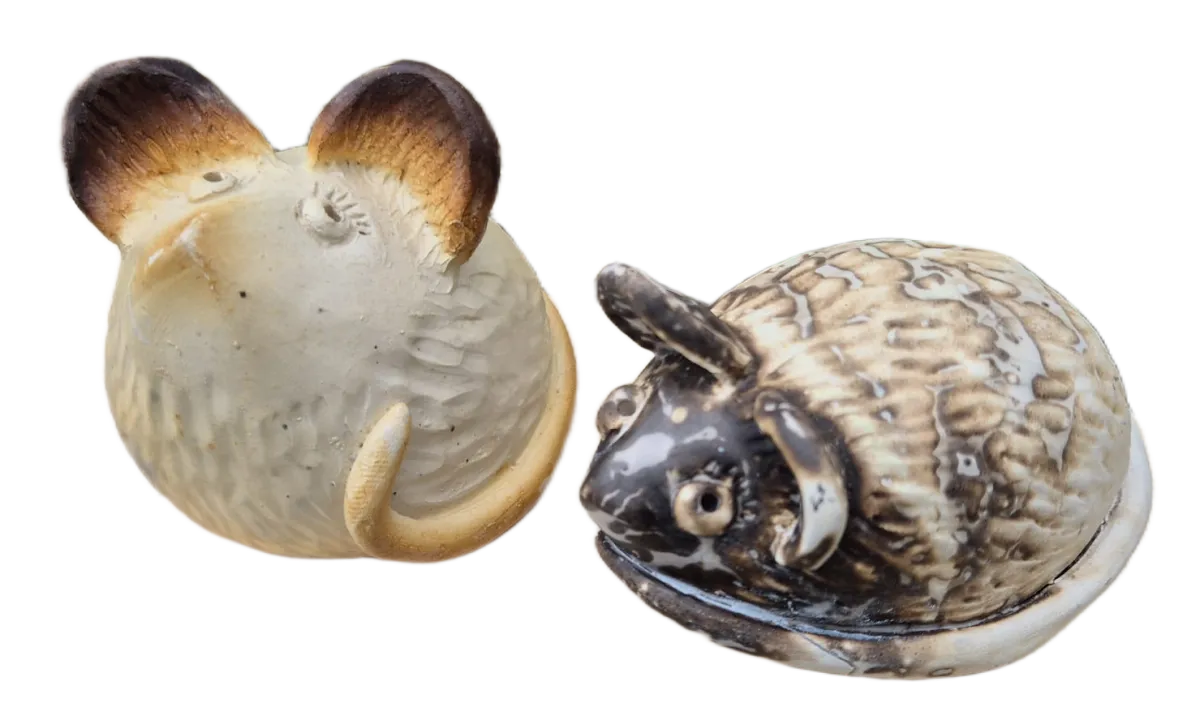 myszki raku
