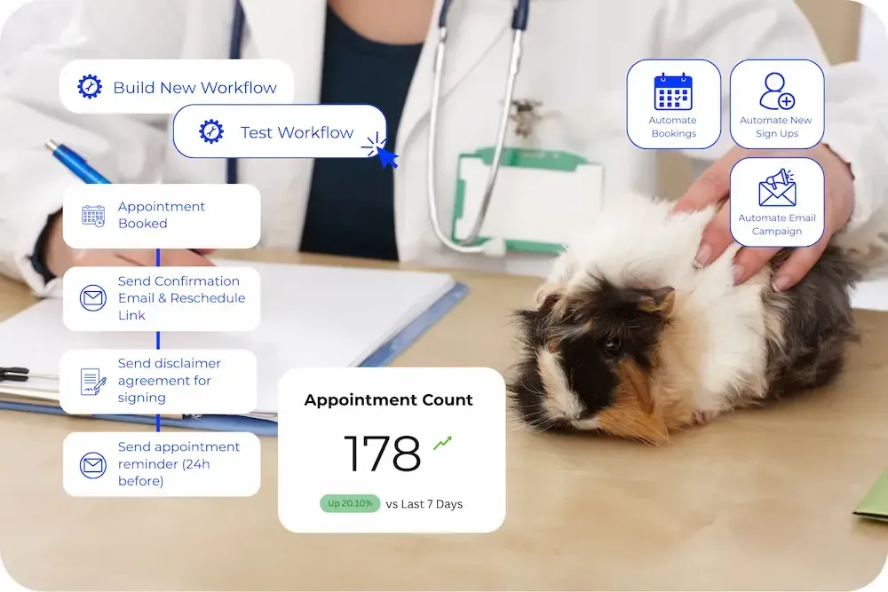 DOJODIGI Automation for Pet Care Businesses