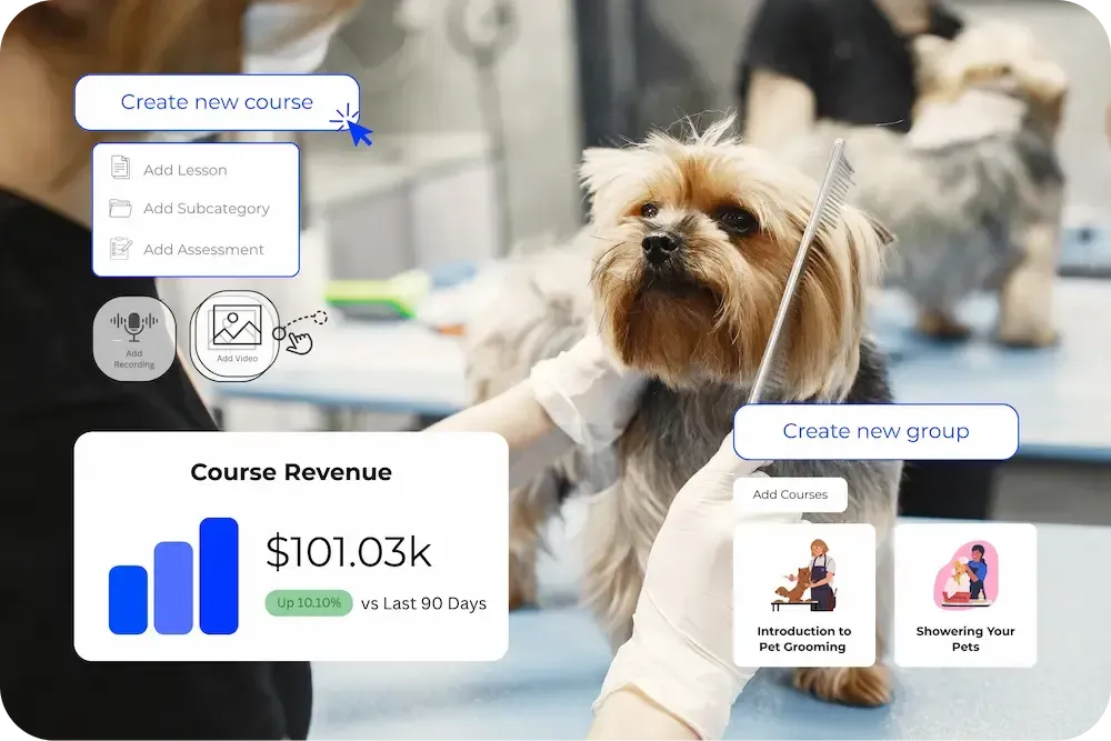DOJODIGI for Pet Care Businesses