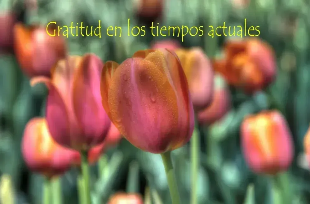 Gratitud en los tiempos actuales