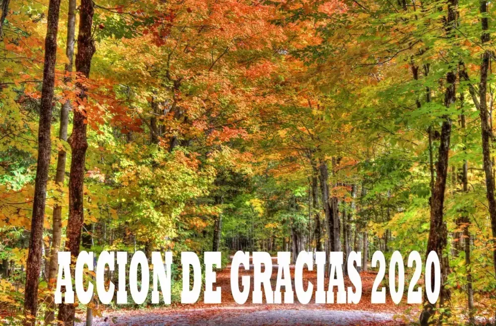 Por qué el (día de) Acción de Gracias es importante.