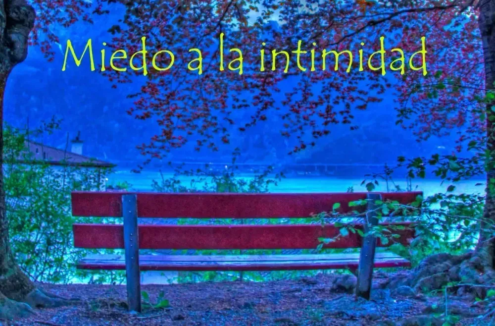 Miedo a la intimidad y a la cercanía en las relaciones