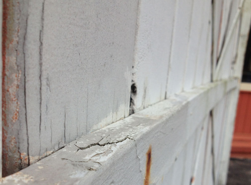 dry rot in fence
