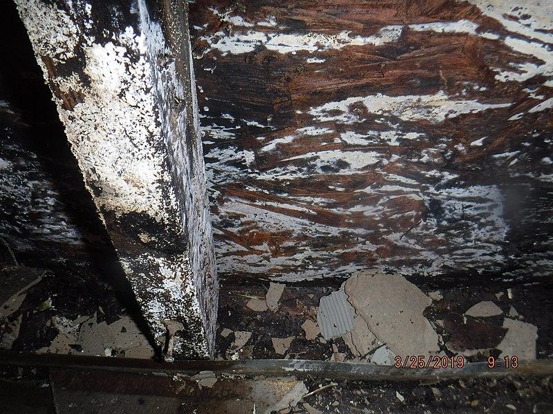 An image of Sacramento water damage