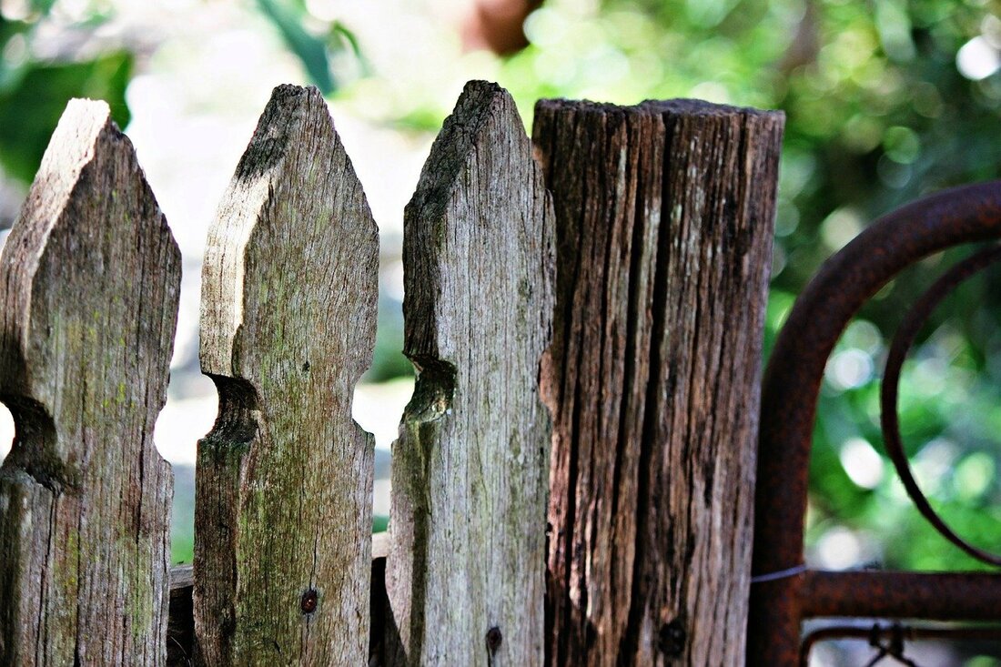 an image of dry rot in wood - Sacramento, CA