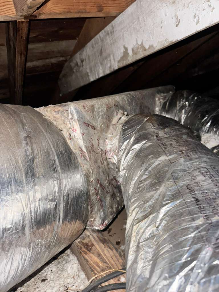 Dryer Vent Cleaning in 