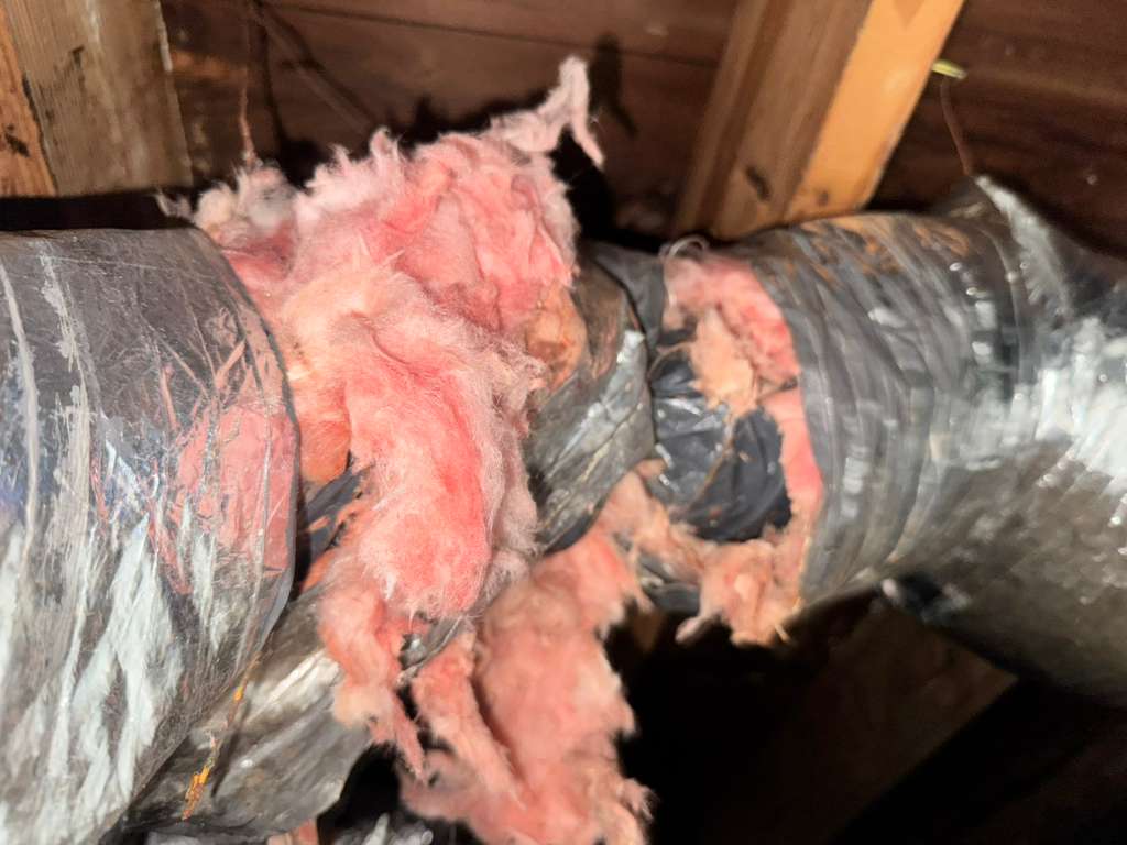 Chimney Cleaning in 