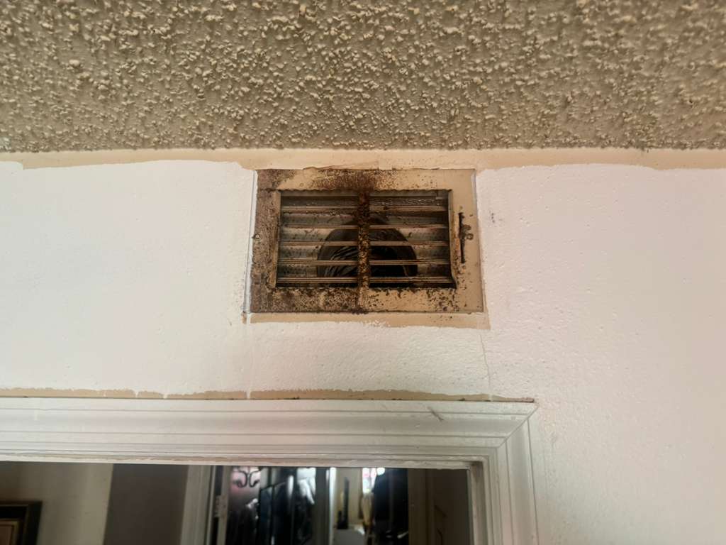 Dryer Vent Cleaning in 