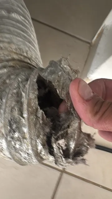 Chimney Cleaning in 
