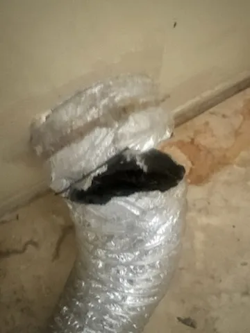 Chimney Cleaning in