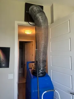 Chimney Cleaning in