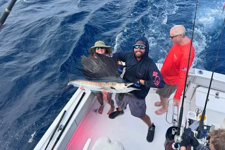 Crew landing a sailfish on an offshore full-day sportfishing charter near Pompano Beach with RingMaster Charters.