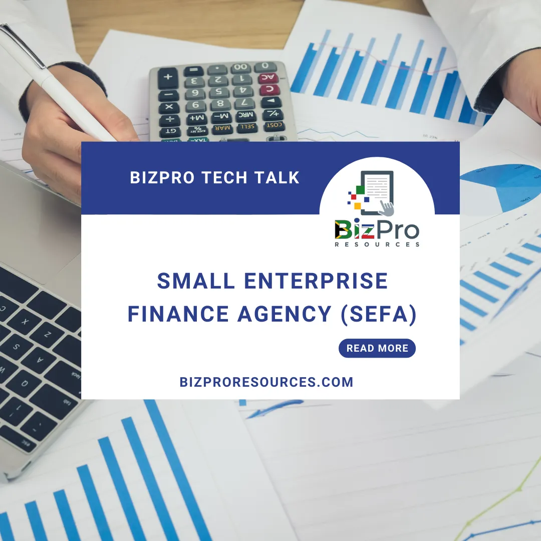 Business Funding: Understanding the Small Enterprise Finance Agency (SEFA)