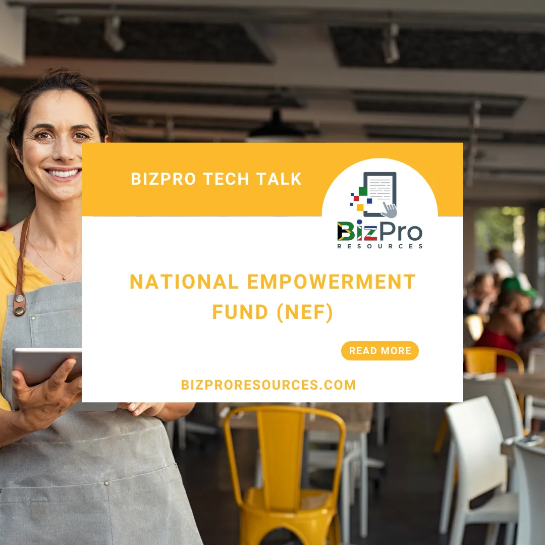 Business Funding: Understanding the National Empowerment Fund (NEF)