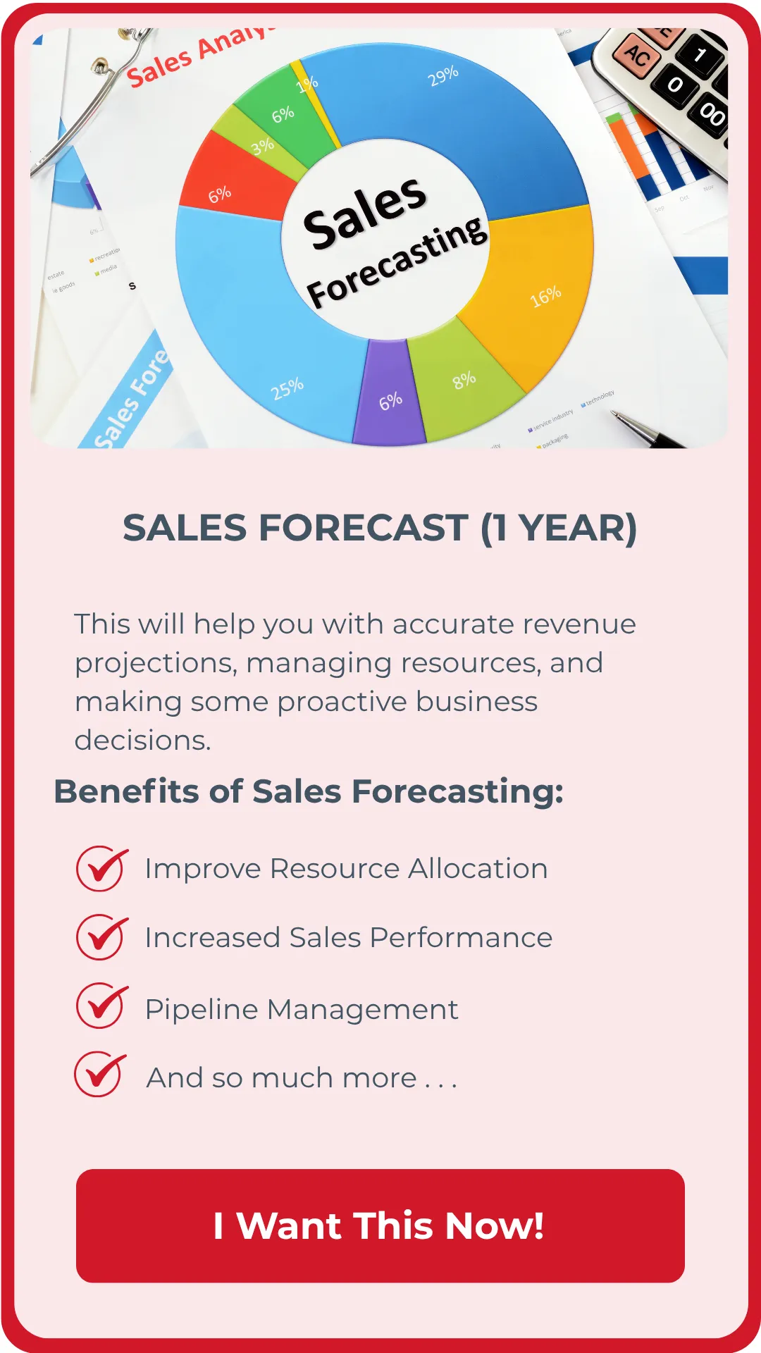BizPro Sales Forecast - 1 Year