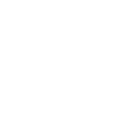 orthoplex logo 
