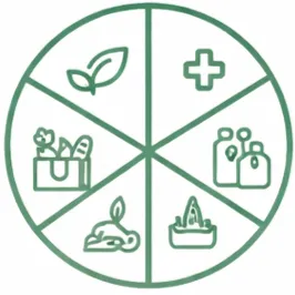 Health consultant icon showing balanced wellness circle representing holistic health