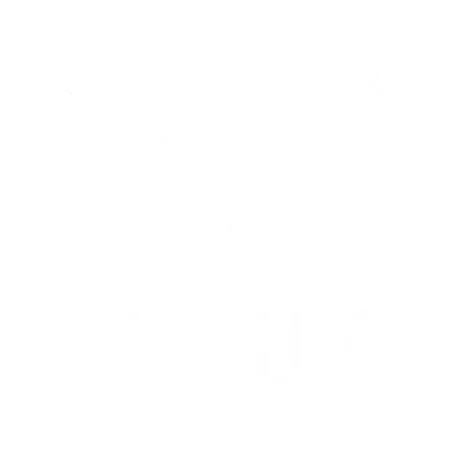 virtus health logo 