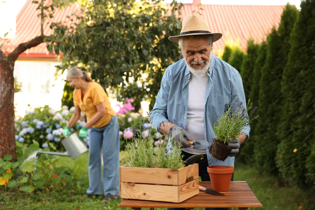 How Gardening Supports Diet & Exercise Goals  July 18, 2025