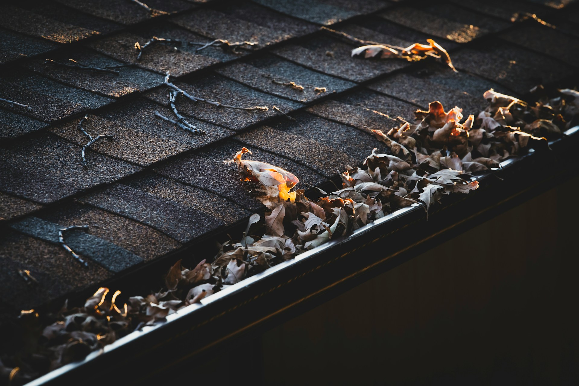 gutter cleaning