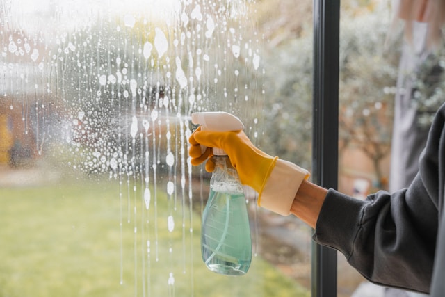 window cleaning