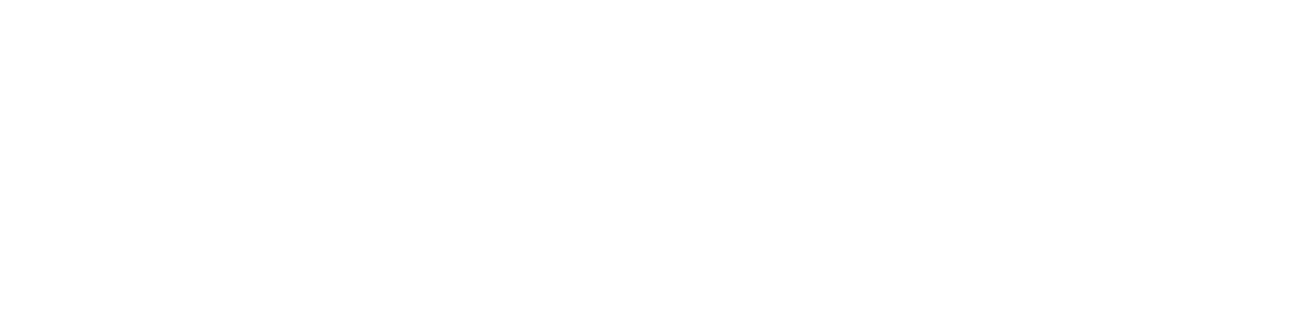 AI Content Creation NZ