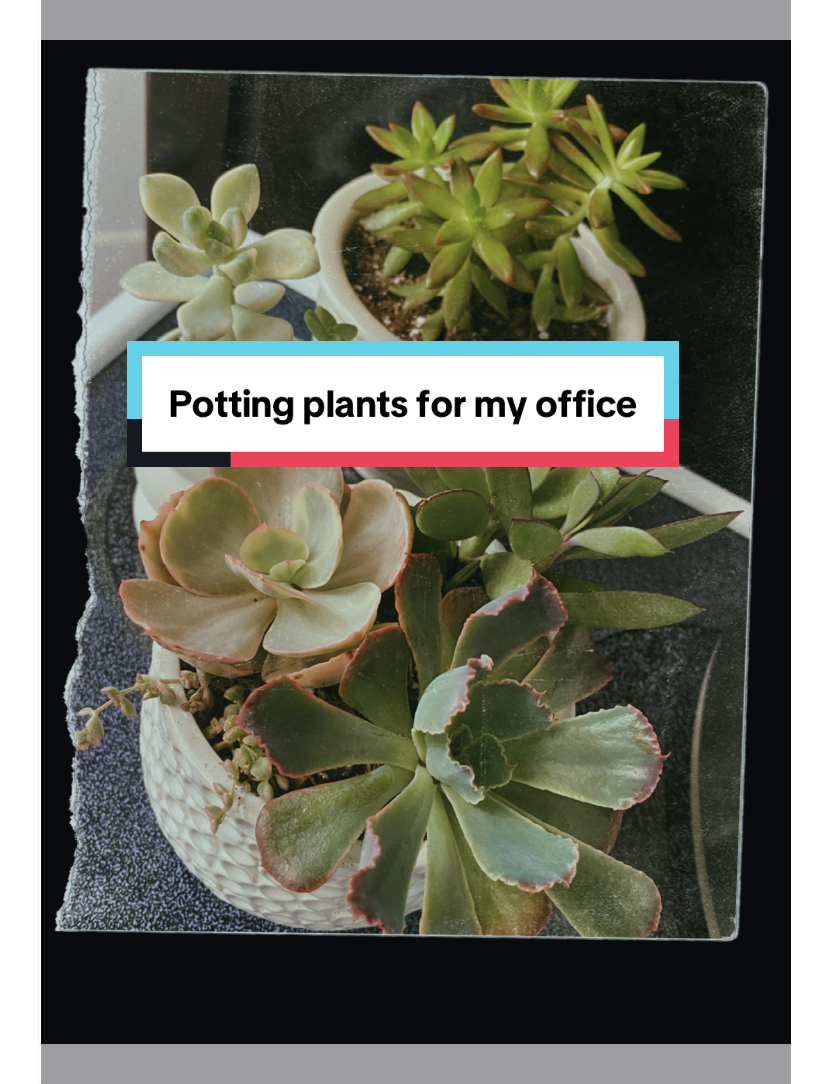 PLANTS!