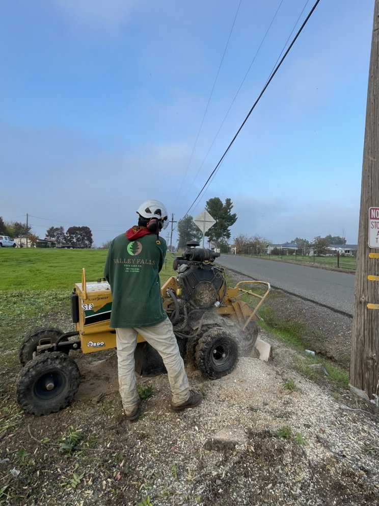 Stump grinding machinery leaving a clean yard