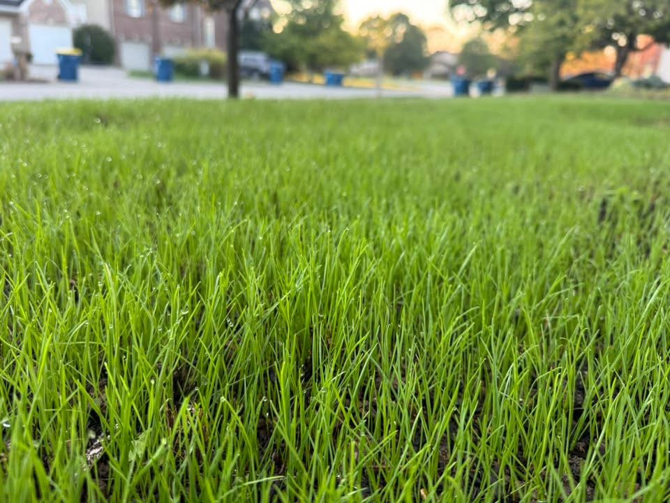 Lawn Care Company Hardin Valley