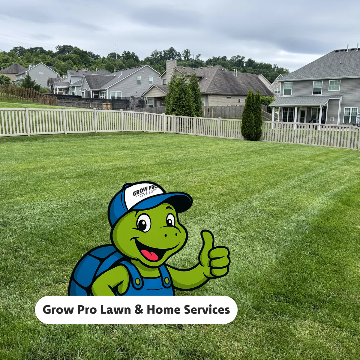Lawn Care Services