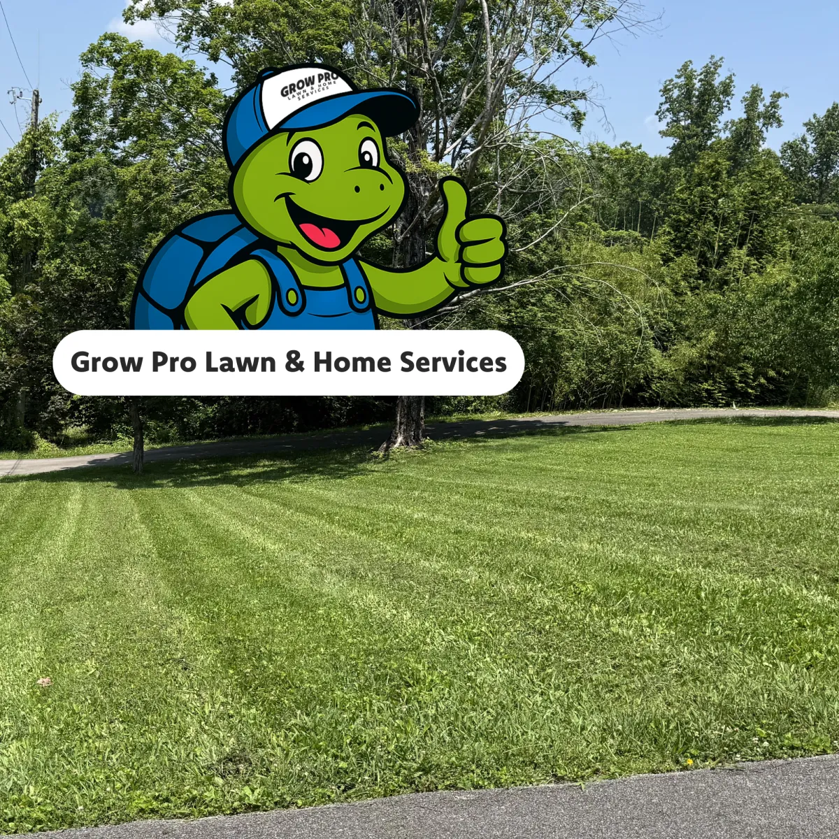 Lawn Care Service