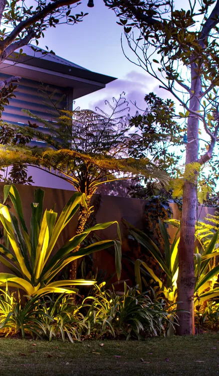 Landscape lighting setup enhancing a garden with safe outdoor wiring