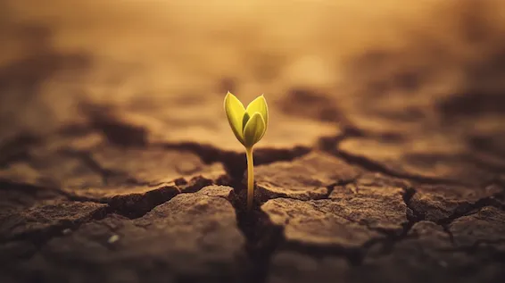 Down Syndrome Special Needs