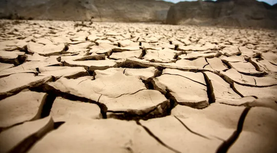 at home functional lab testing