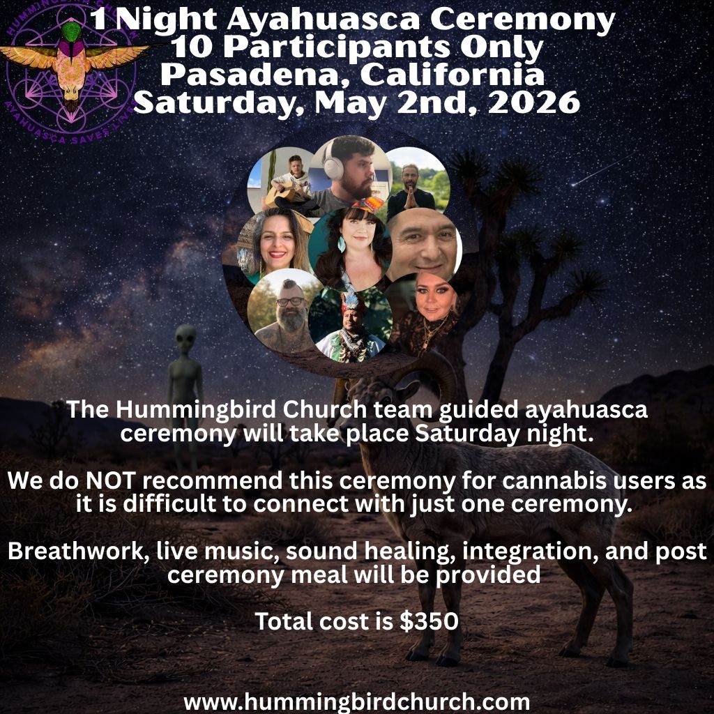 Ayahuasca ceremony